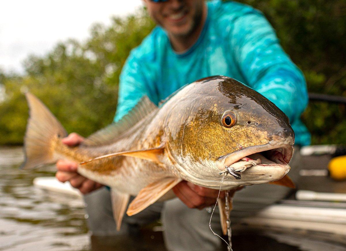Fall is a great time to tie into a big redfish. Image by Phil Hughes