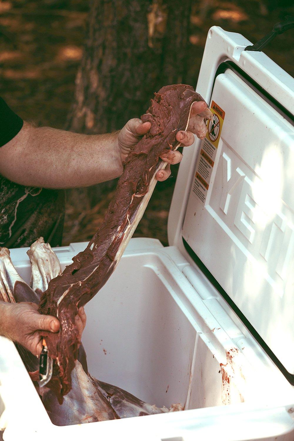 When you can't get to a walk in cooler in a hurry, you need to get your venison into a cooler with ice. Image by Kerry Wix