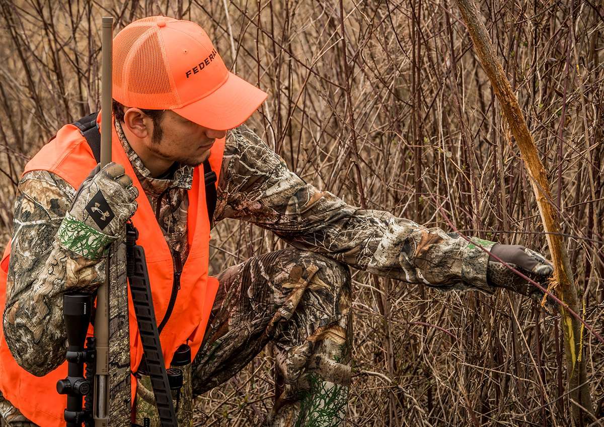 4 Types of Buck Rubs You Need to Know - Realtree Camo