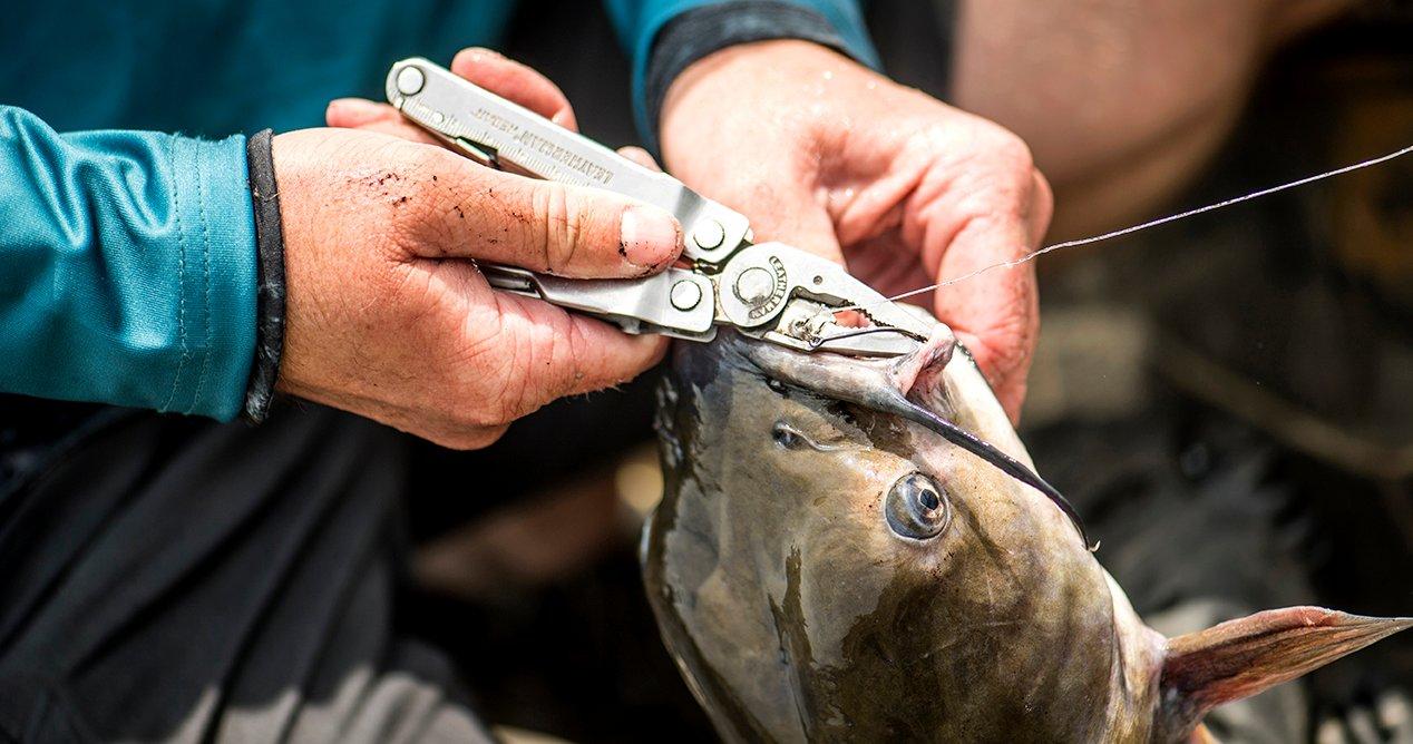 Channel catfish are easy to catch if you use the right tackle in the right spots. Image by Realtree 