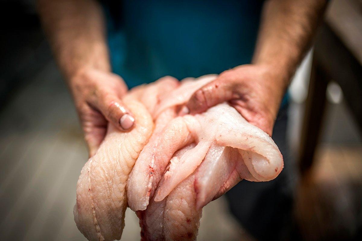 How to Catch a Mess of Catfish From the Bank - Realtree Camo