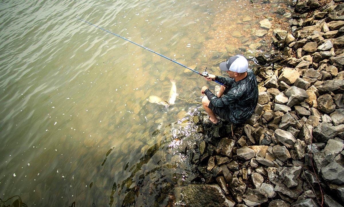 Early Season Reservoir Catfish! (Bank Fishing) 