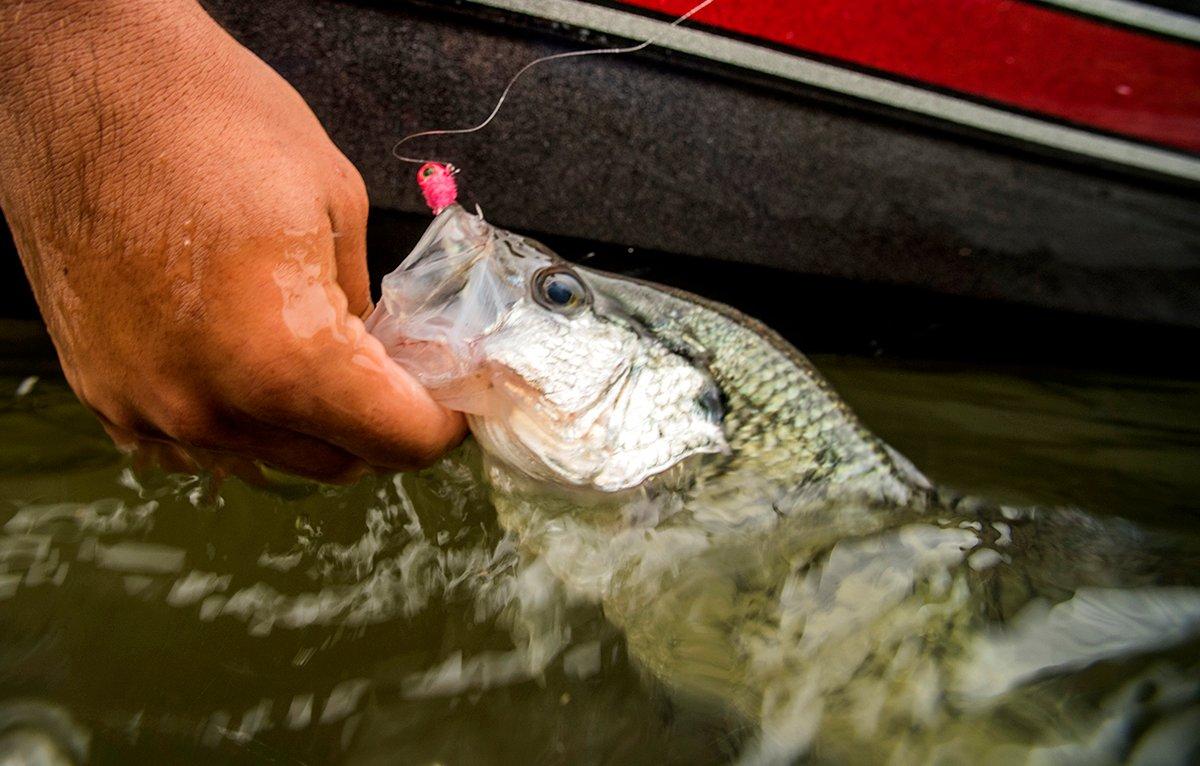 Air up some nightcrawlers for improved fishing success