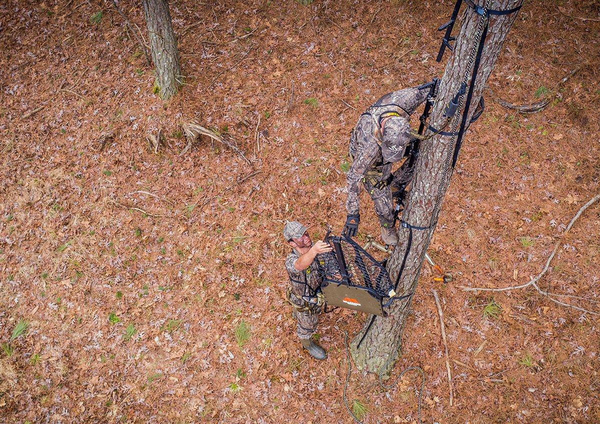 Big timber can be daunting, but there's almost always a few spots worth sitting. Image by Realtree Media