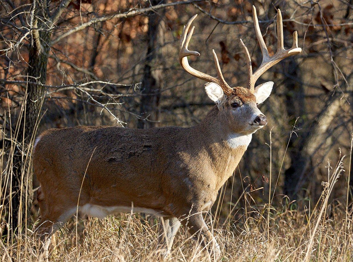 Florida Hunting Lease Considerations