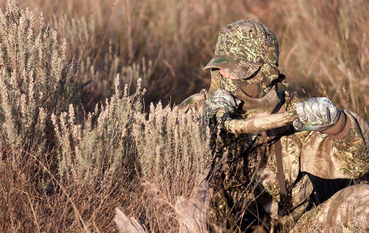 OTC elk might be more difficult to call, but they're still elk, and effective calling can work. Image by Russell Graves