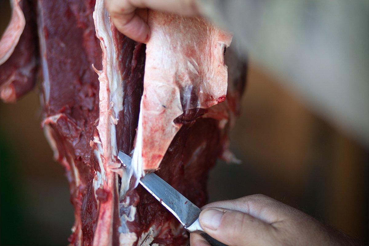 CWD concerns will reshape venison processing traditions. Image by Russell Graves