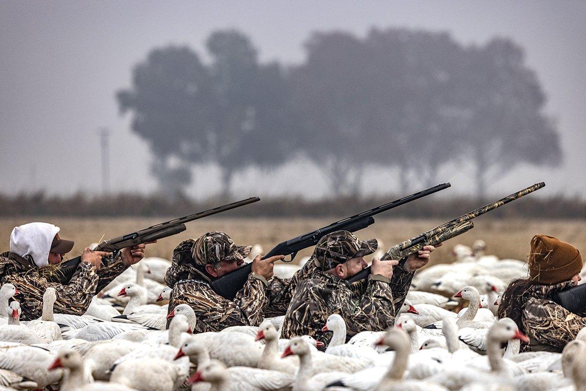 When the guide calls the shot and chaos ensues, hunters must remain collected and focus on good shooting techniques. Photo by Tom Rassuchine