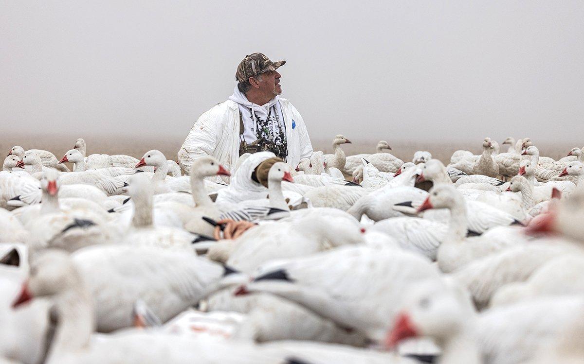  They want lots of noise to convince big flocks to commit. Photo by Tom Rassuchine
