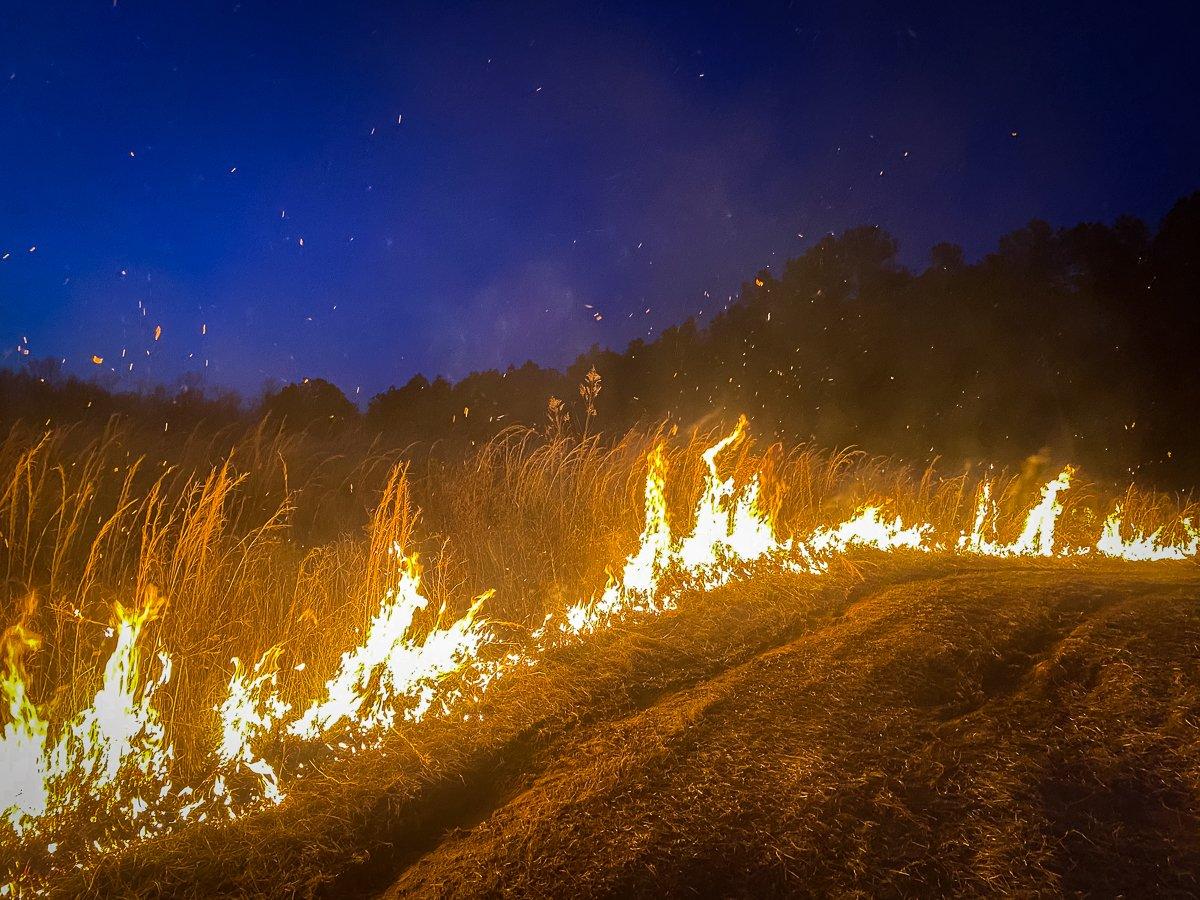 Good firebreaks are the most essential step for keeping a prescribed fire contained. Image by Will Brantley