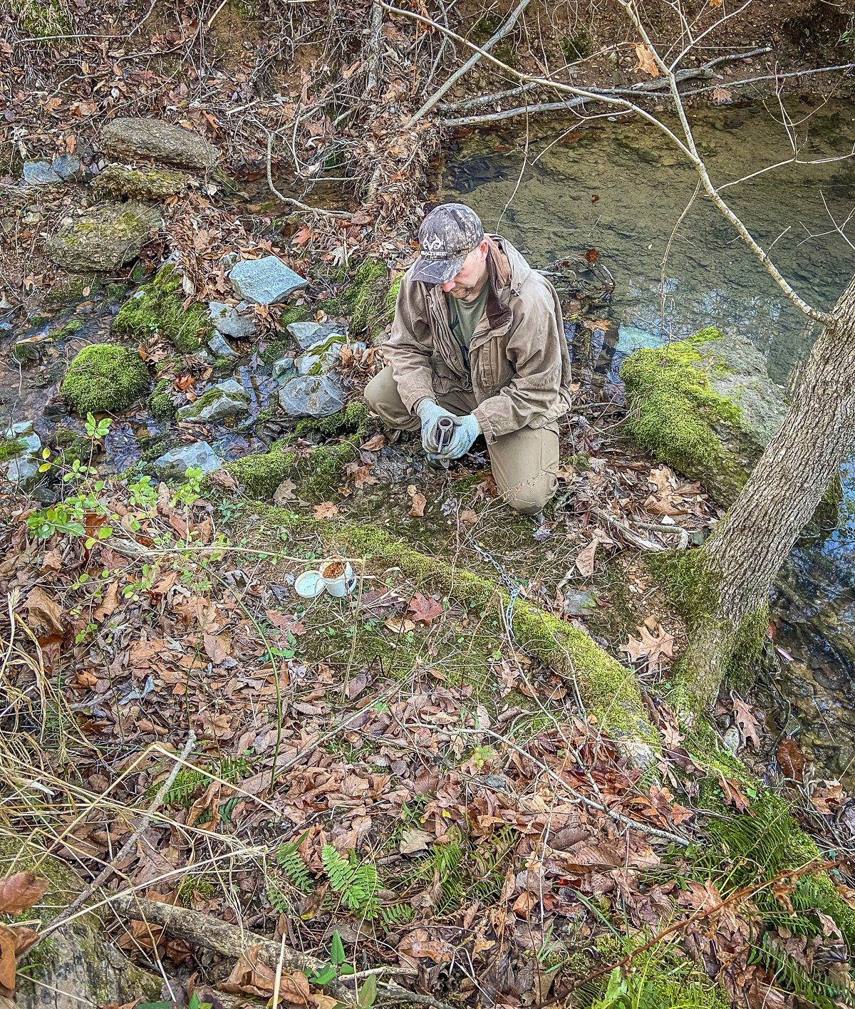 Creek banks are always good places to set raccoon traps. Image by Will Brantley