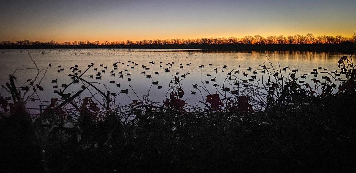 Honey Brake's moist-soil management efforts through the Wetlands Reserve Program attract thousands of wintering ducks. Photo © Brian Lovett