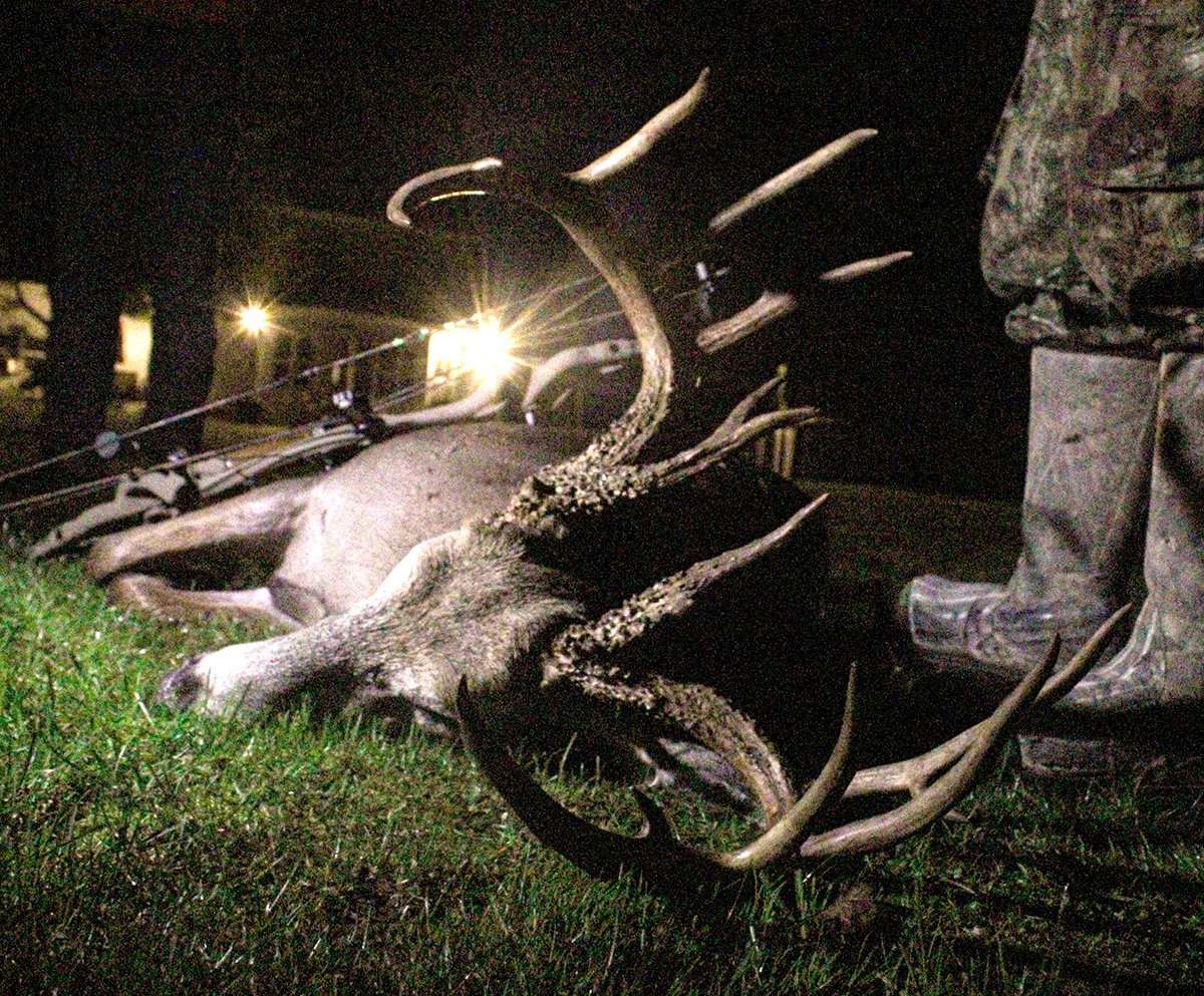 After the hit, the buck didn't make it out of a 1-acre woods. Photo courtesy of Jacob Bowman After the hit, the buck didn't make it out of a 1-acre woods. Photo courtesy of Jacob Bowman