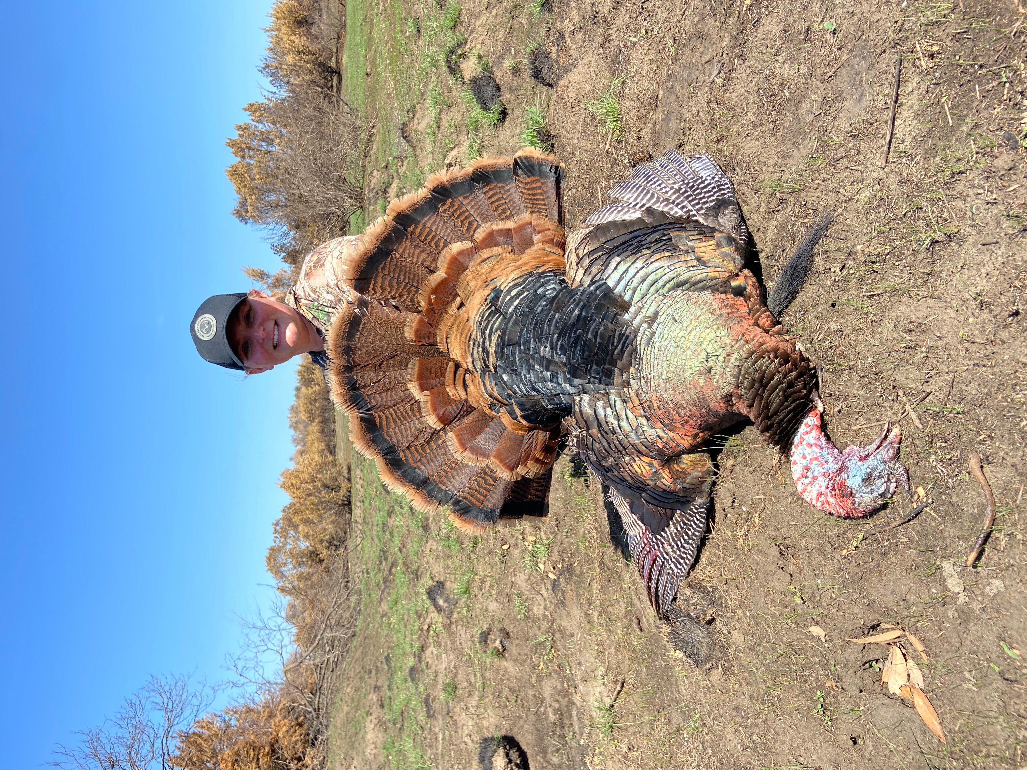 Michelle Brantley shot this nice Rio at noon. It was 91 degrees with a 30-mph wind, on a ranch that had burned just two weeks prior. 