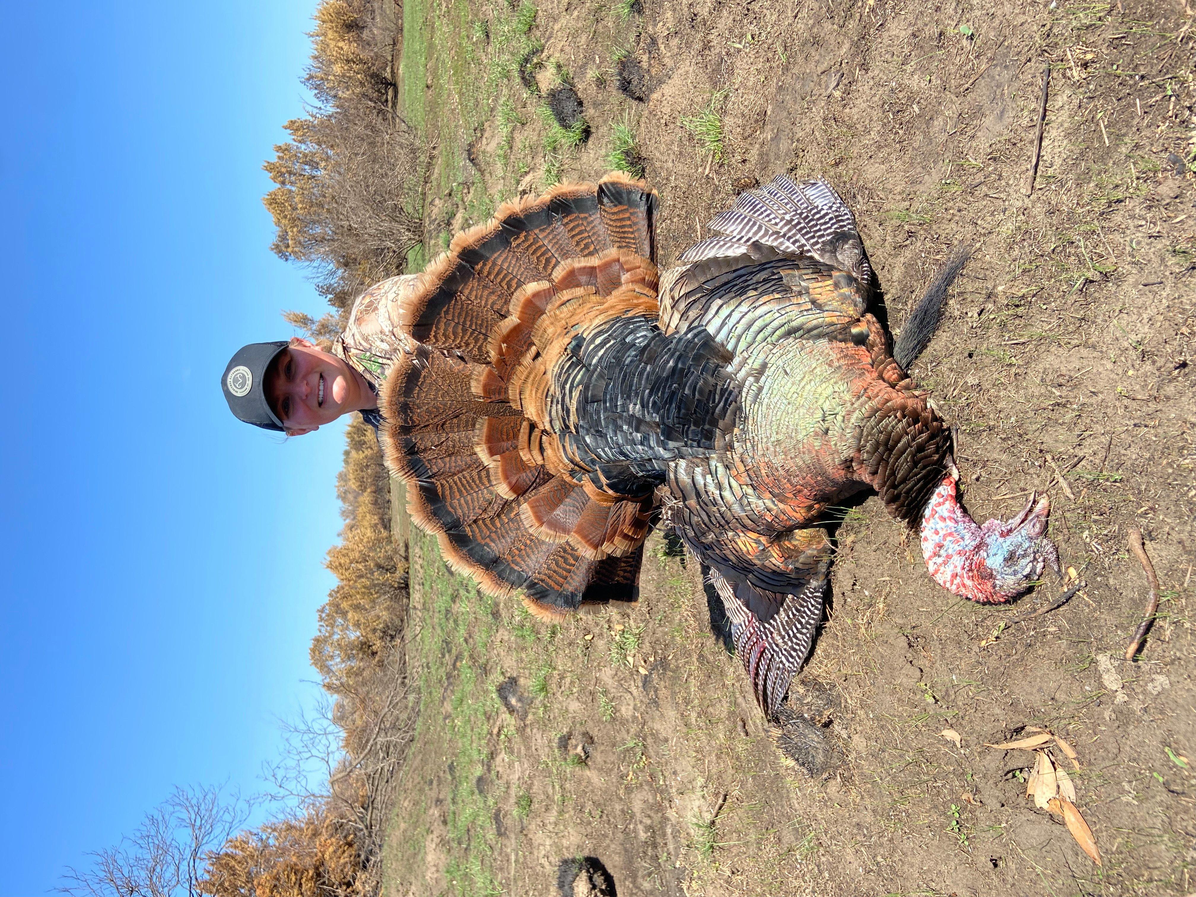 Michelle Brantley shot this nice Rio at noon. It was 91 degrees with a 30-mph wind, on a ranch that had burned just two weeks prior.