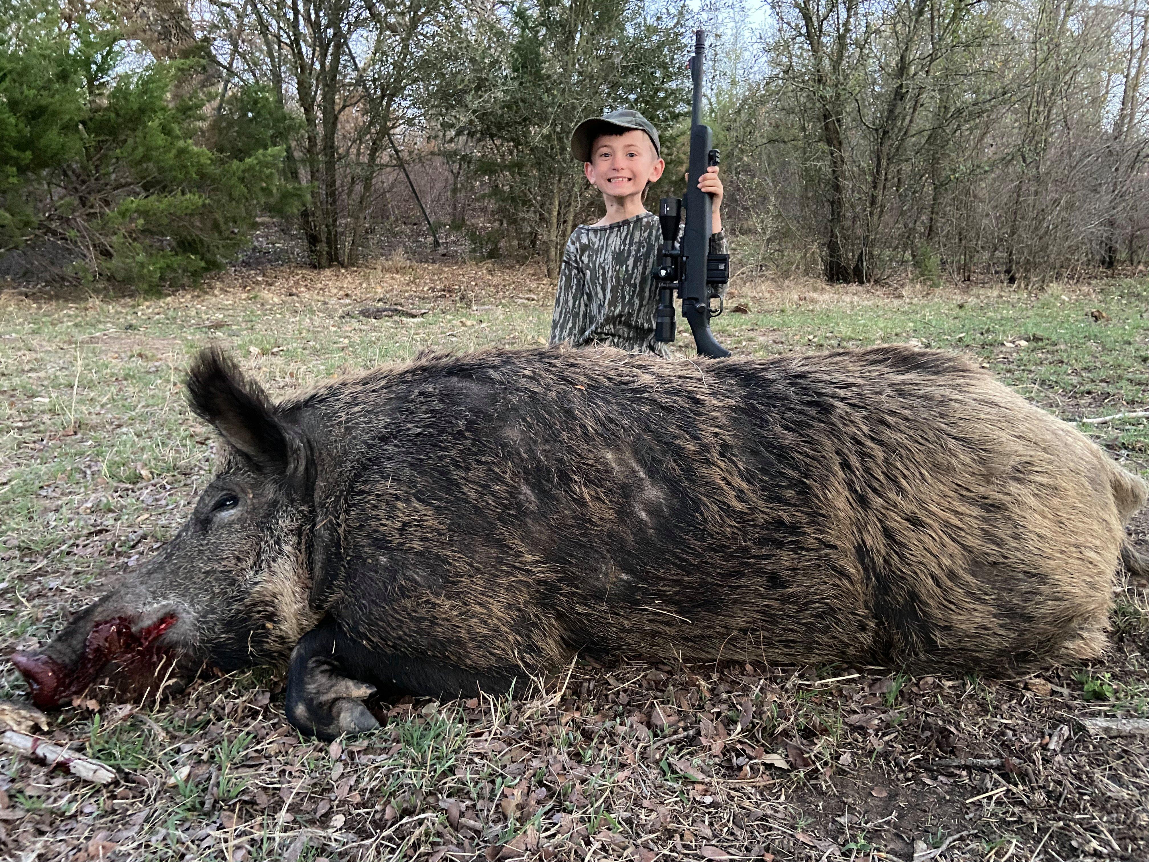 Wild Pig Hunting