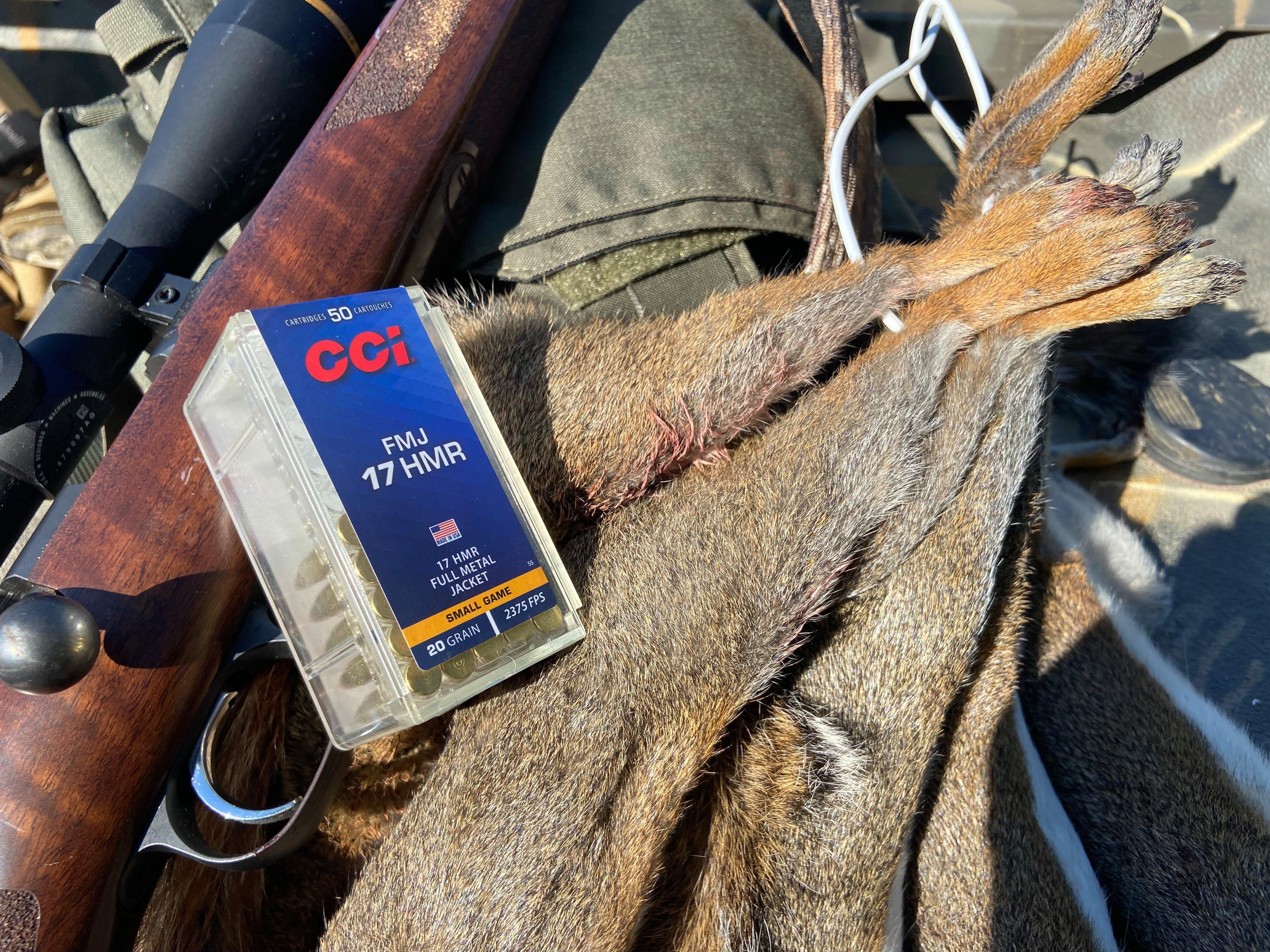 CCI's 20-grain FMJ is an excellent .17 HMR squirrel load. 