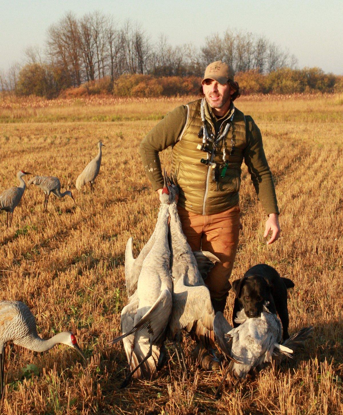 How to Hunt Sandhill Cranes Realtree Camo