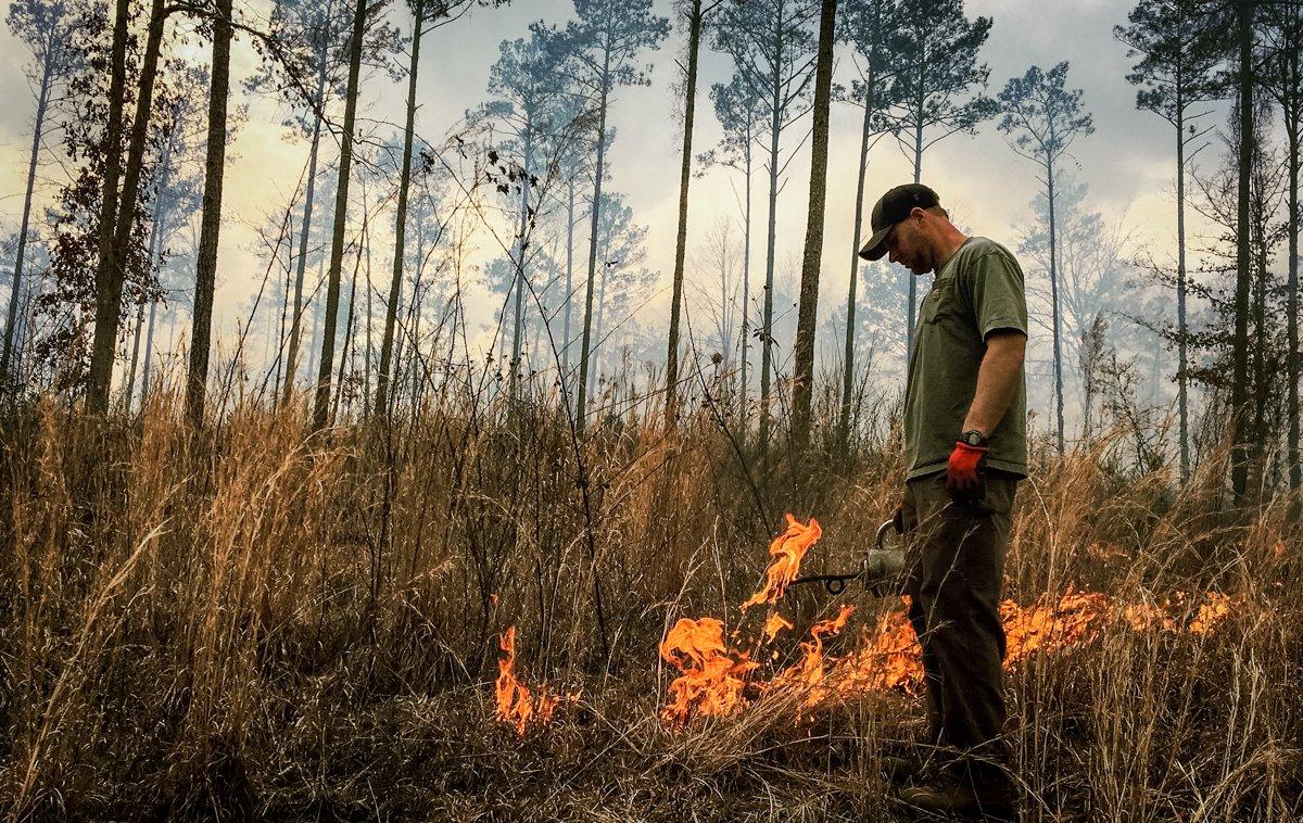 Early spring is the traditional time to apply prescribed fire. Image by Realtree