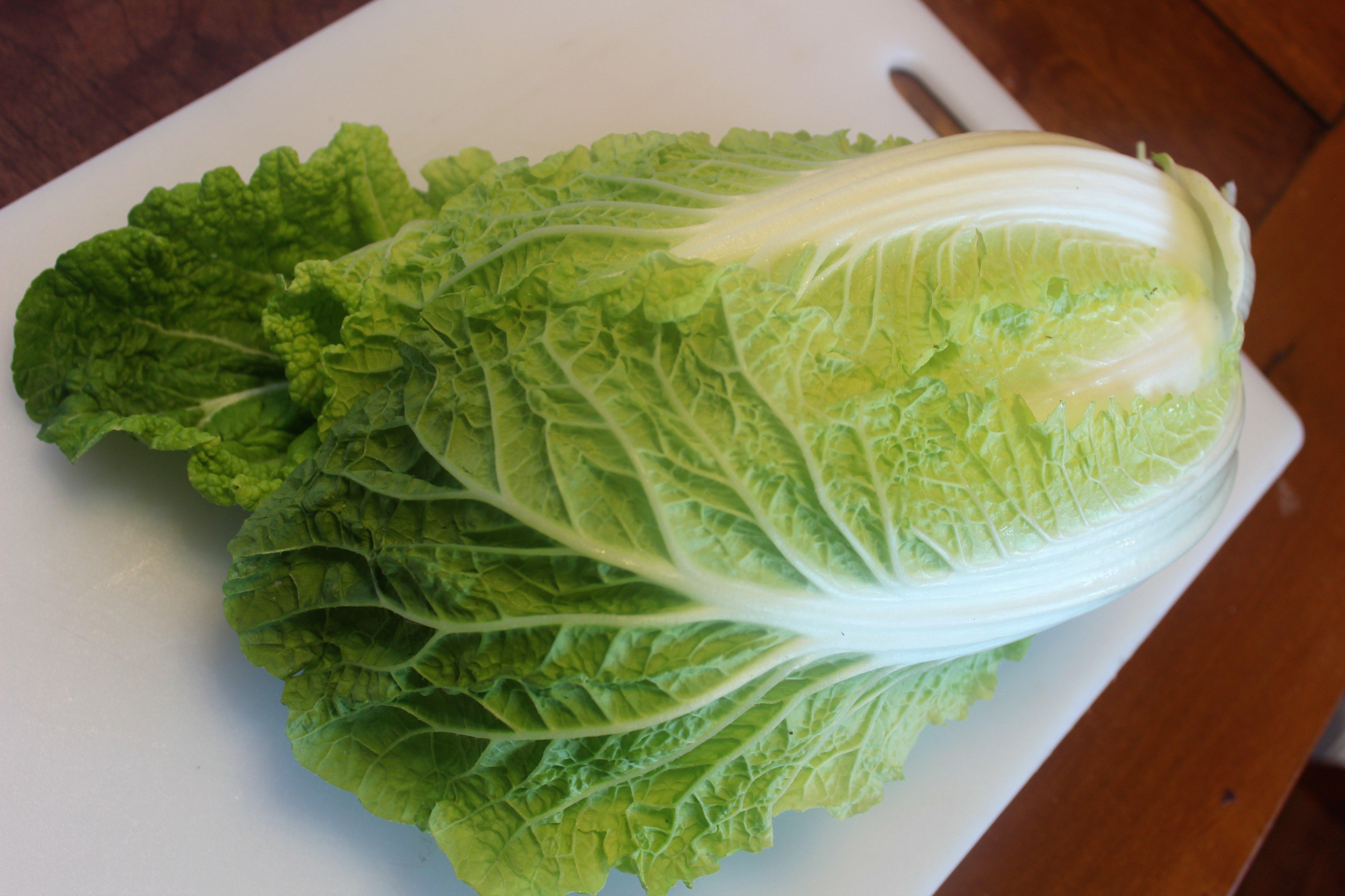 Fresh Napa cabbage is tender and delicious, treat it just like fresh lettuce.