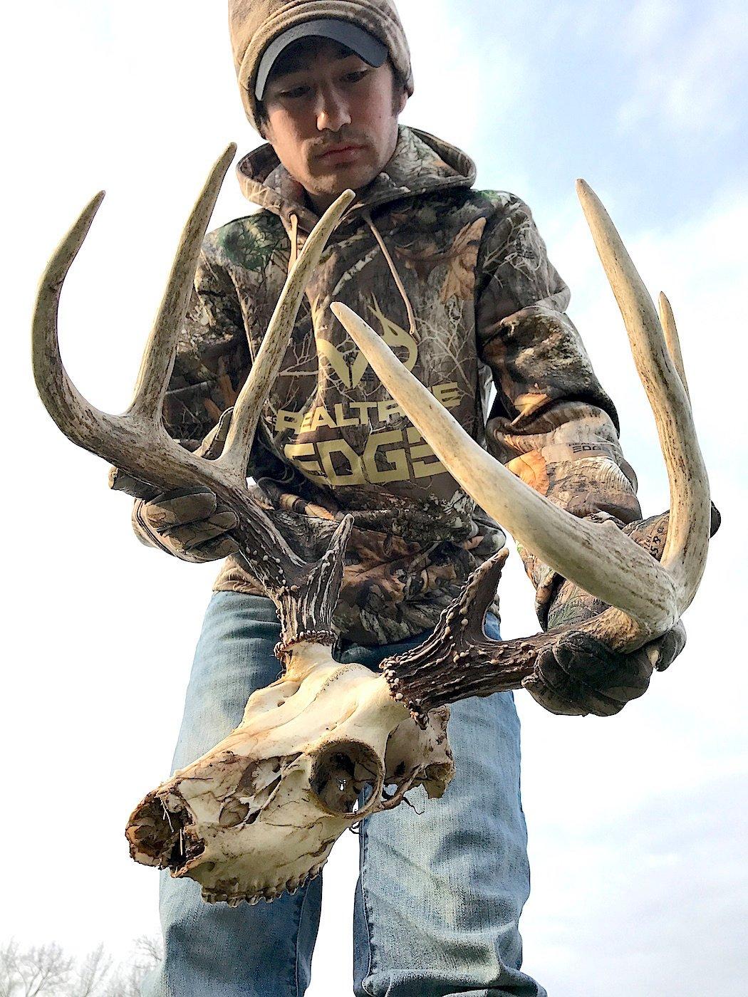 The author found this buck dead a couple years ago while shed hunting. It's a suspected EHD kill. (Josh Honeycutt photo)