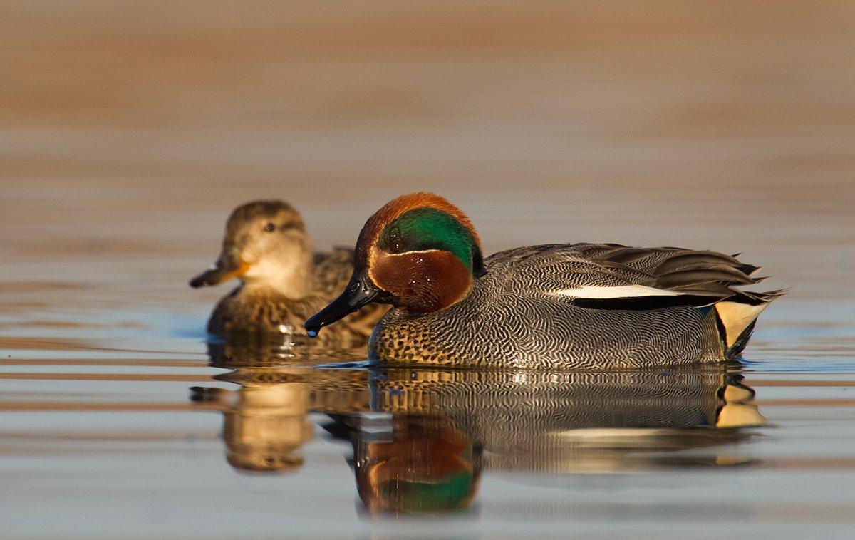 Photo © Marcin Perkowski/Shutterstock