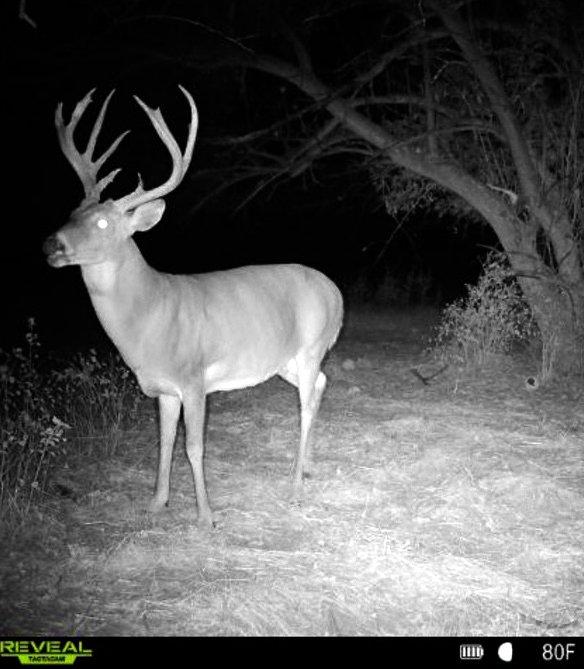 Image: jaxon_powers_ok_3