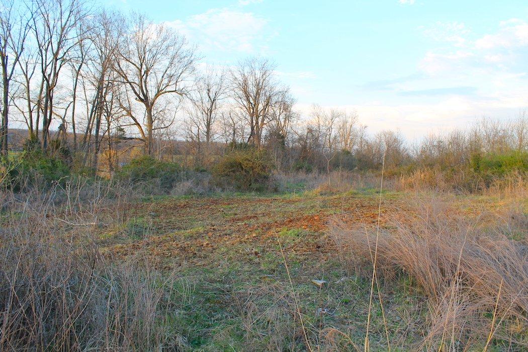 Poor man plots are perfect for hard-to-reach places that are often close to good bedding cover. (Josh Honeycutt photo)