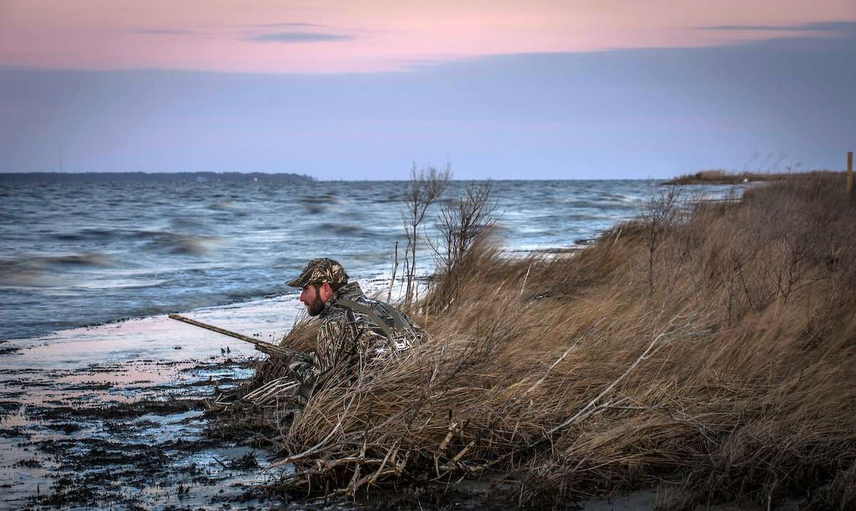 Heavy rains this summer have some hunters concerned about waterfowl prospects on Chesapeake Bay. Meanwhile, wet conditions have spread birds out across the flyway. Photo © Bill Konway