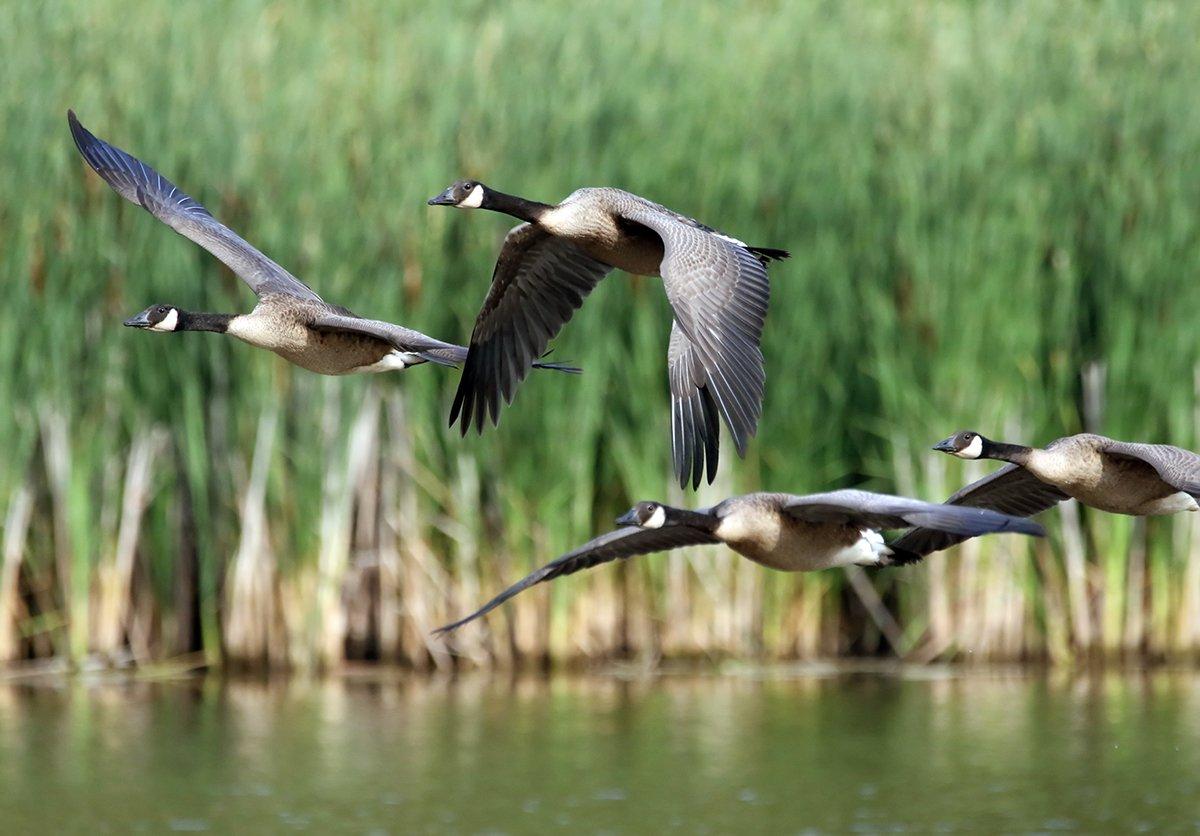 Photo © Jim Nelson/Shutterstock