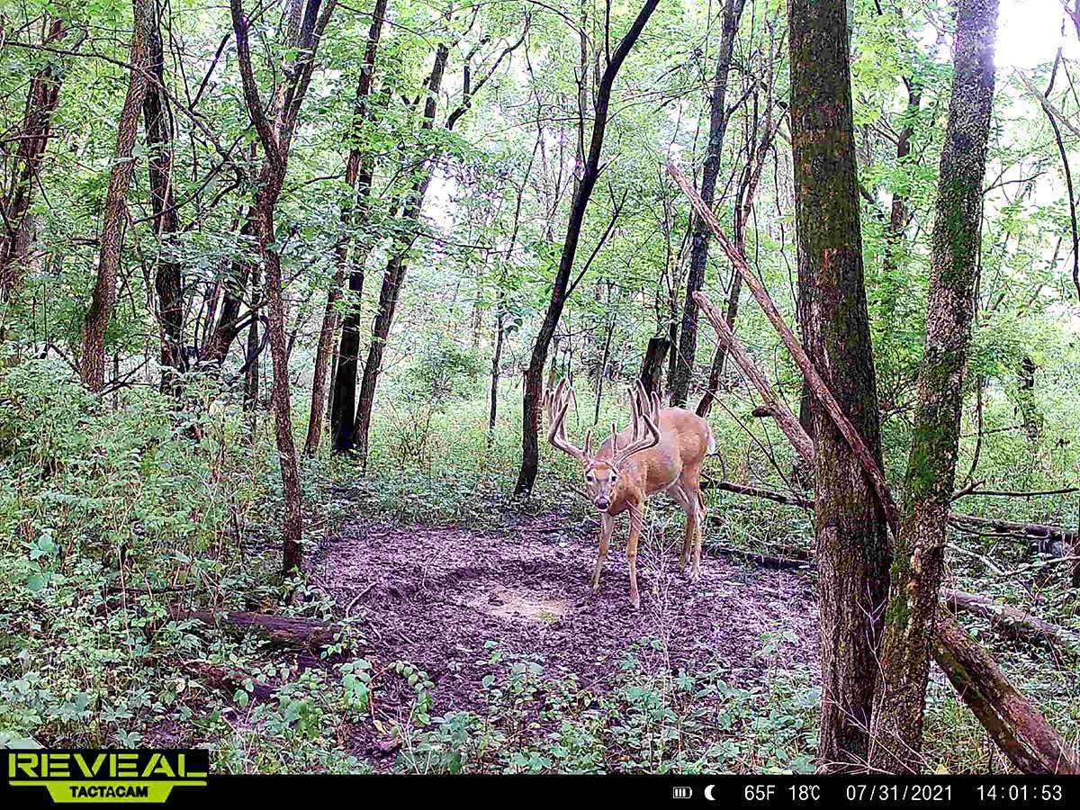 Leonhard scouted this buck hard, and eventually crossed paths with the monster. Image by Kyle Leonhard Leonhard scouted this buck hard, and eventually crossed paths with the monster. Image by Kyle Leonhard