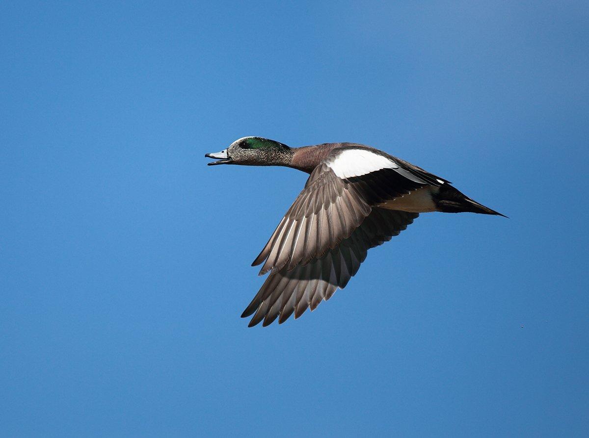 Photo © Steve Jamsa/Shutterstock