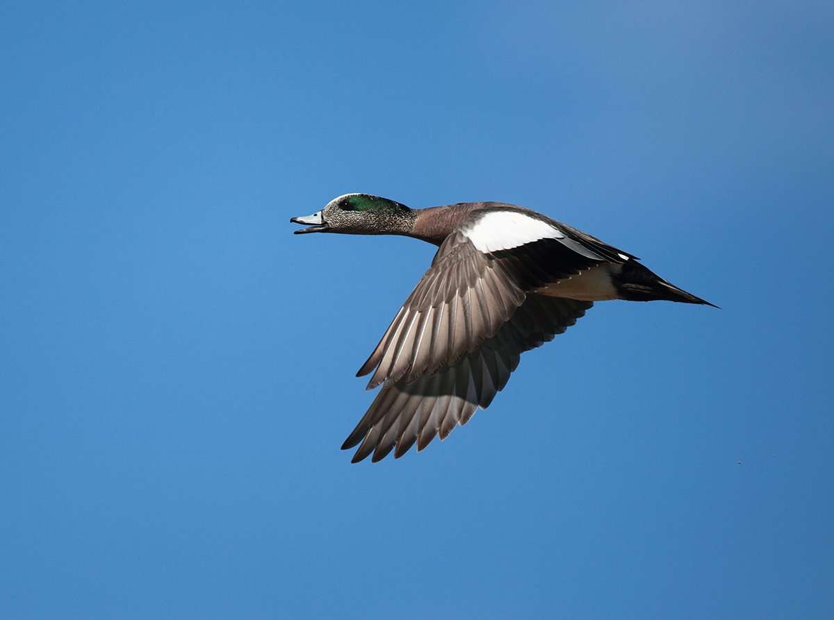 Photo © Steve Jamsa/Shutterstock Photo © Steve Jamsa/Shutterstock