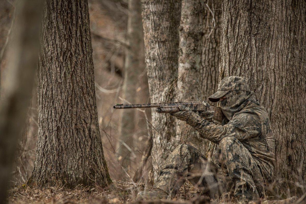 You've still got a fall turkey tag and want to fill it now. (© Bill Konway photo)