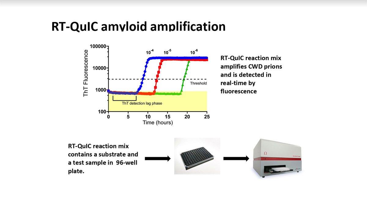 The RT-QuIC reaction mix amplifies CWD prions and is detected in real-time by fluorescence. (CWD Evolution graph)