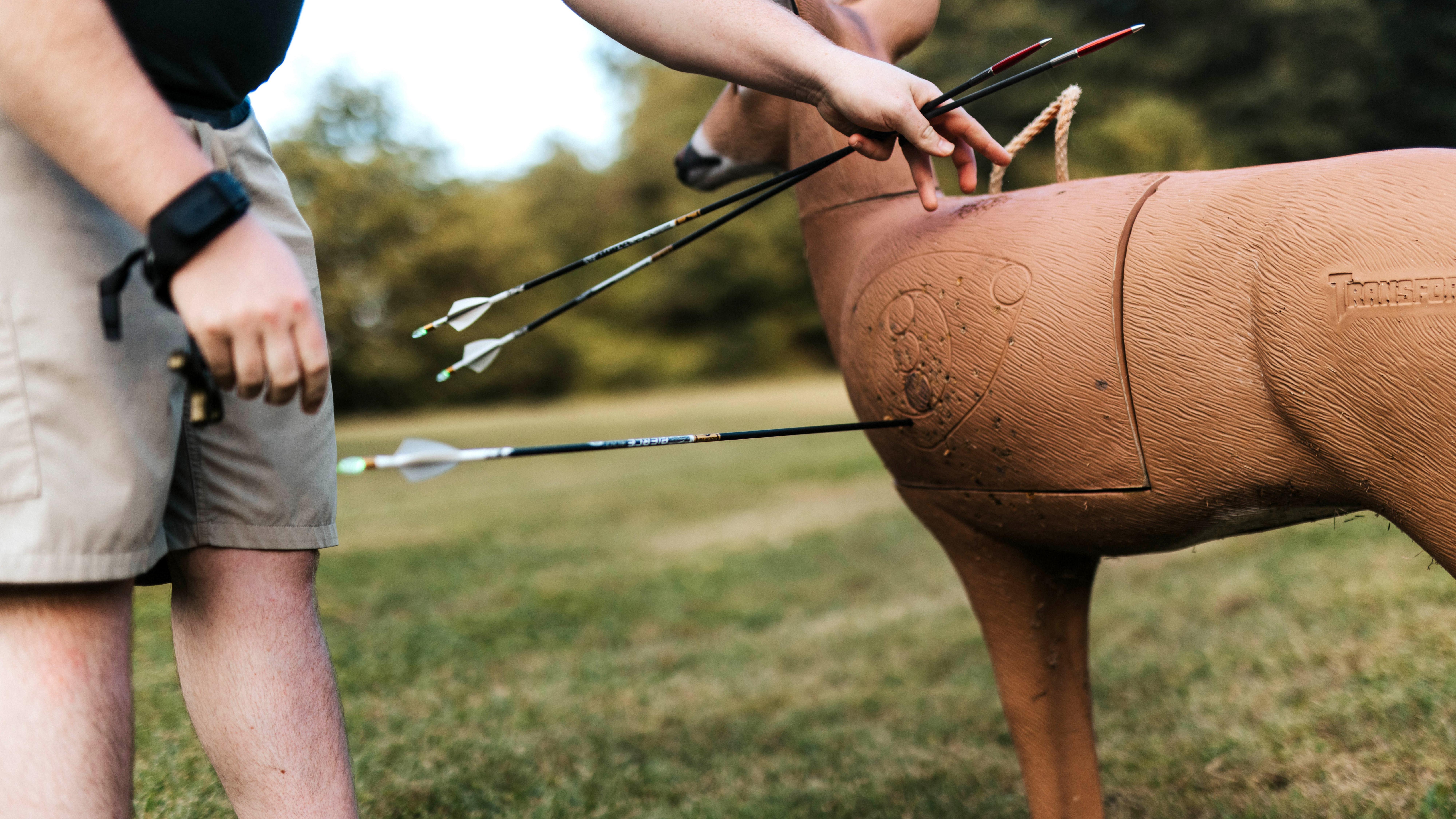 Image: long_range_archery_4