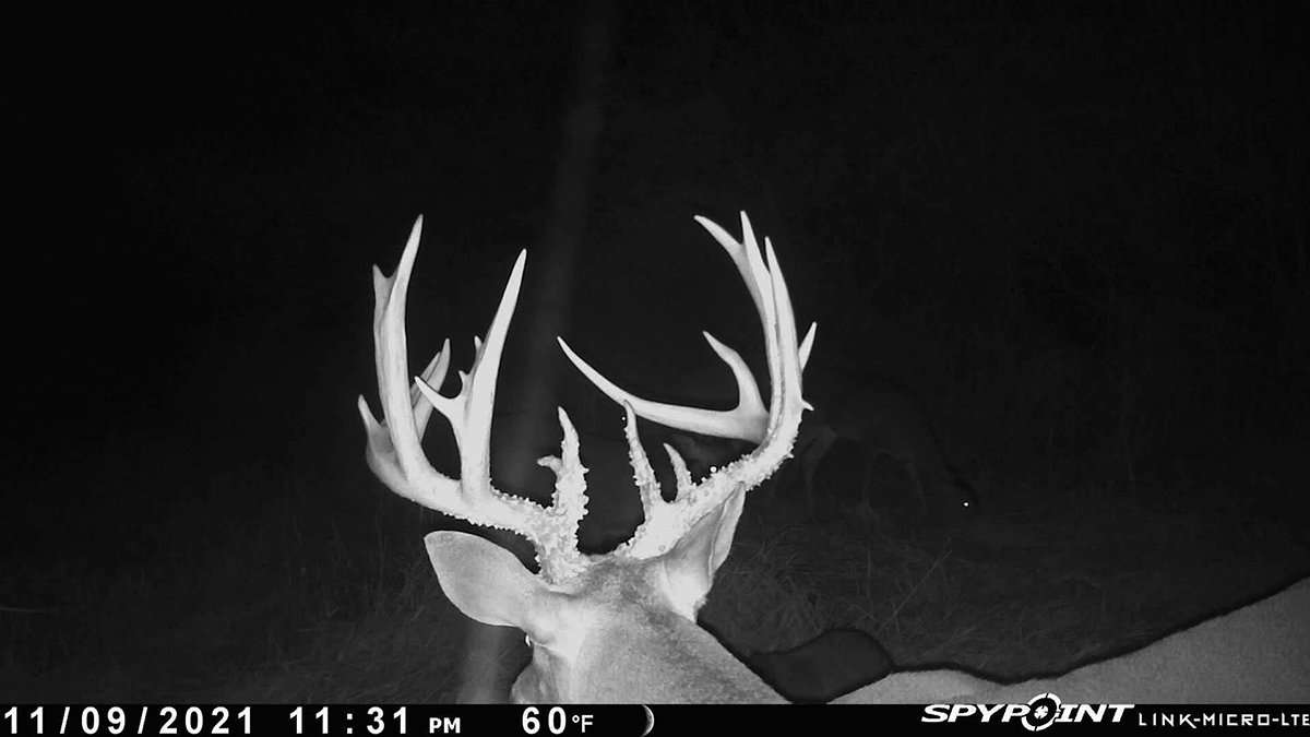 They followed this buck for quite some time, and used trail cameras to pattern it. Image by Legends of the Fall