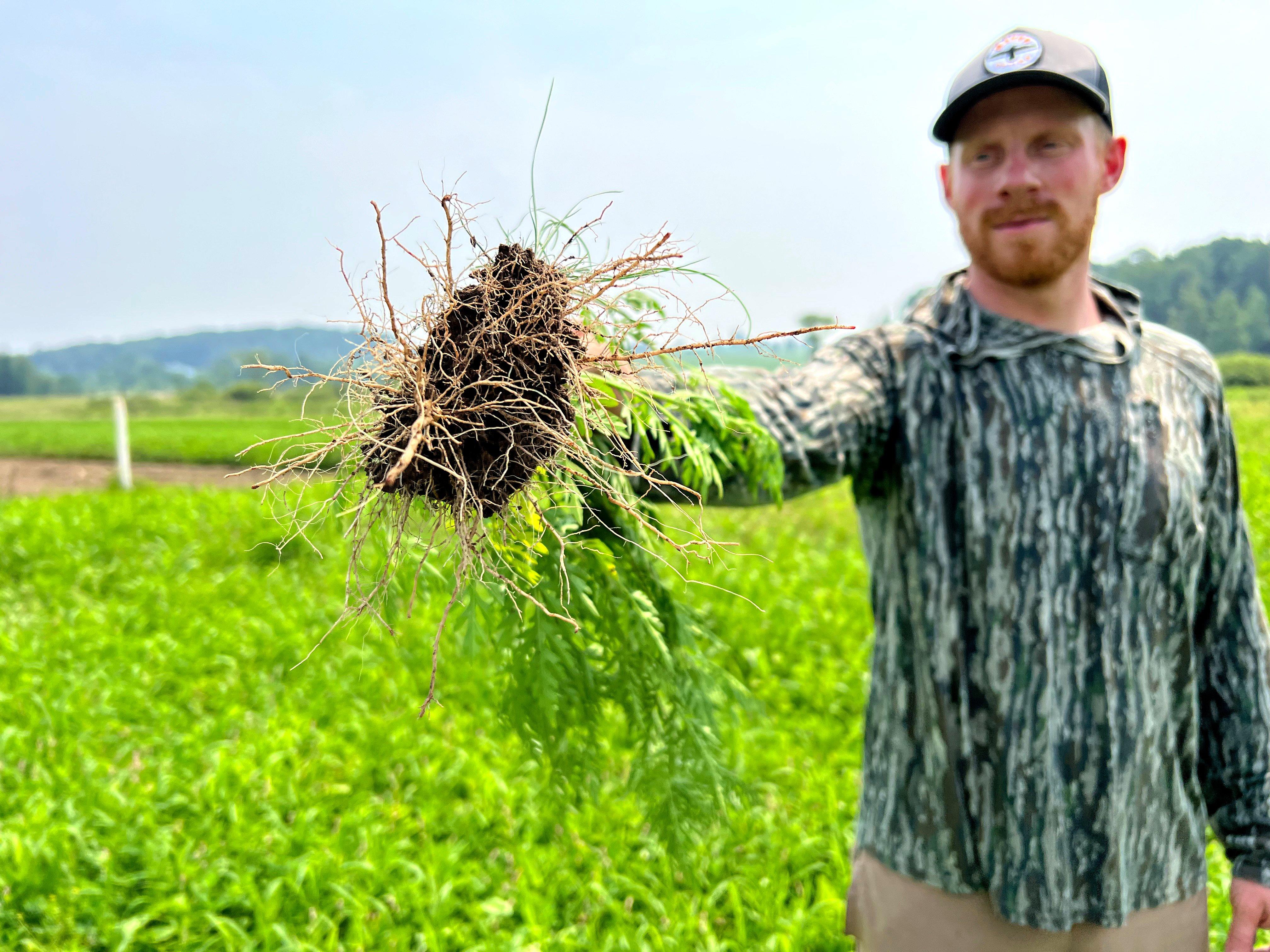 Image: manage_food_plots