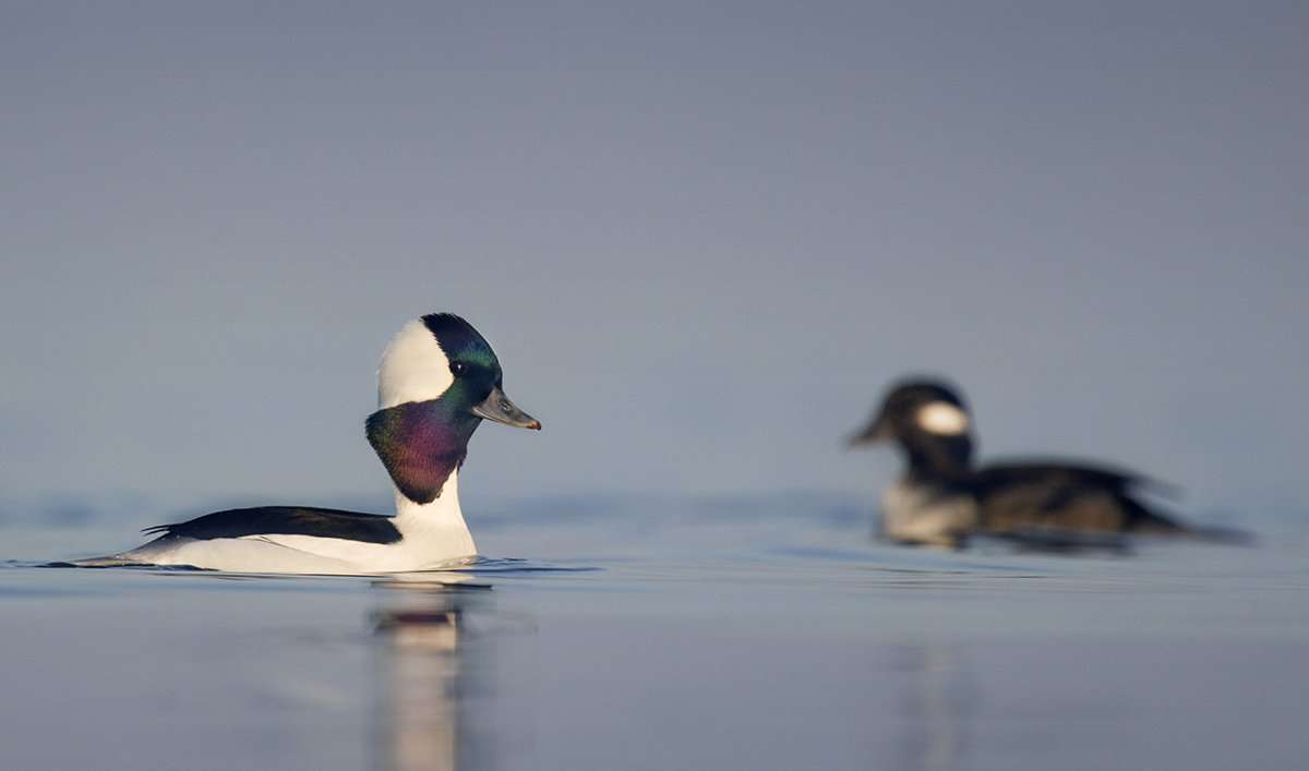 Photo © Ray Hennessy/Shutterstock Photo © Ray Hennessy/Shutterstock