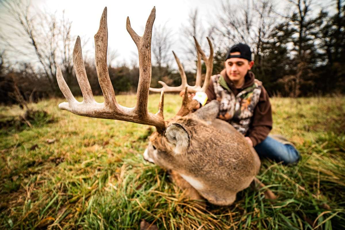 This deer was quite a surprise, especially after a very disruptive day on the farm. Image courtesy of Max Mongrello This deer was quite a surprise, especially after a very disruptive day on the farm. Image courtesy of Max Mongrello
