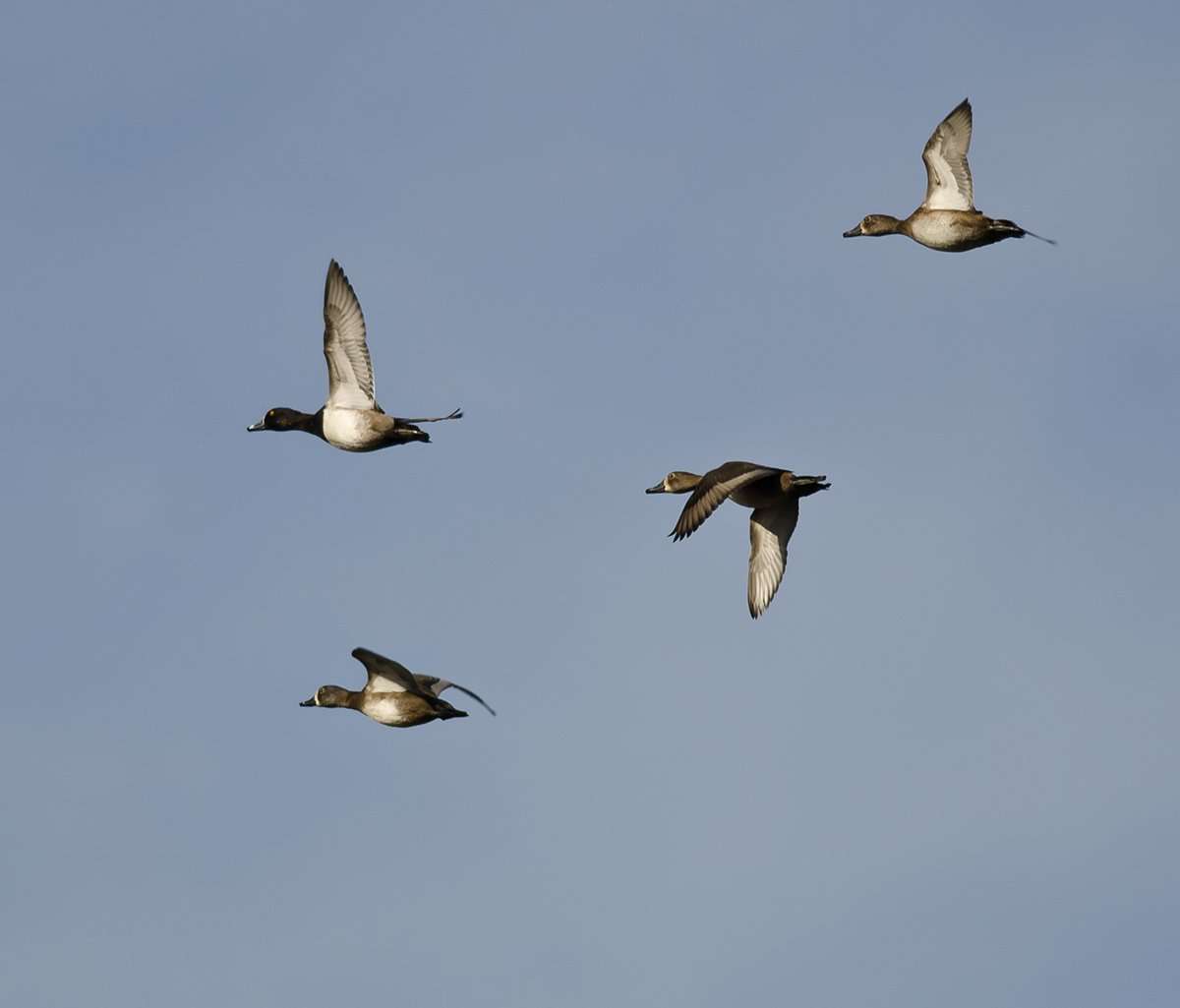 Photo © rck_953/Shutterstock Photo © rck_953/Shutterstock