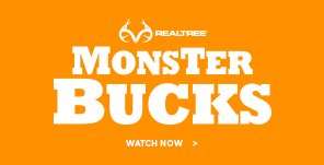 Monster Bucks