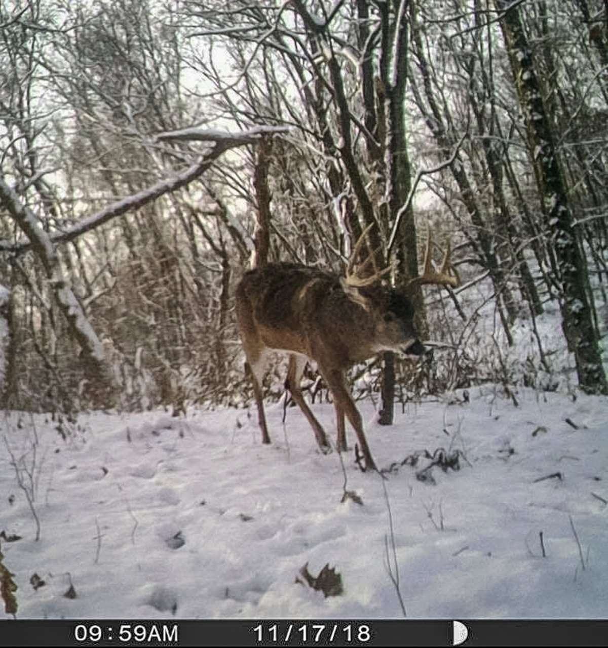 Trail camera photos from the 2018 and 2019 seasons played crucial roles in the hunt for this big whitetail. (Bryton Meyer photo)