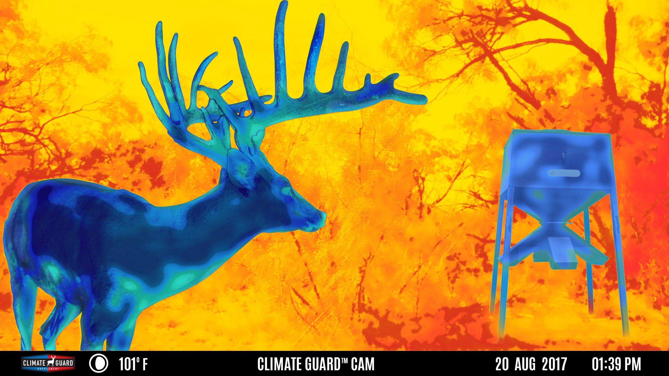 Purina's New AntlerMax with Climate Guard 