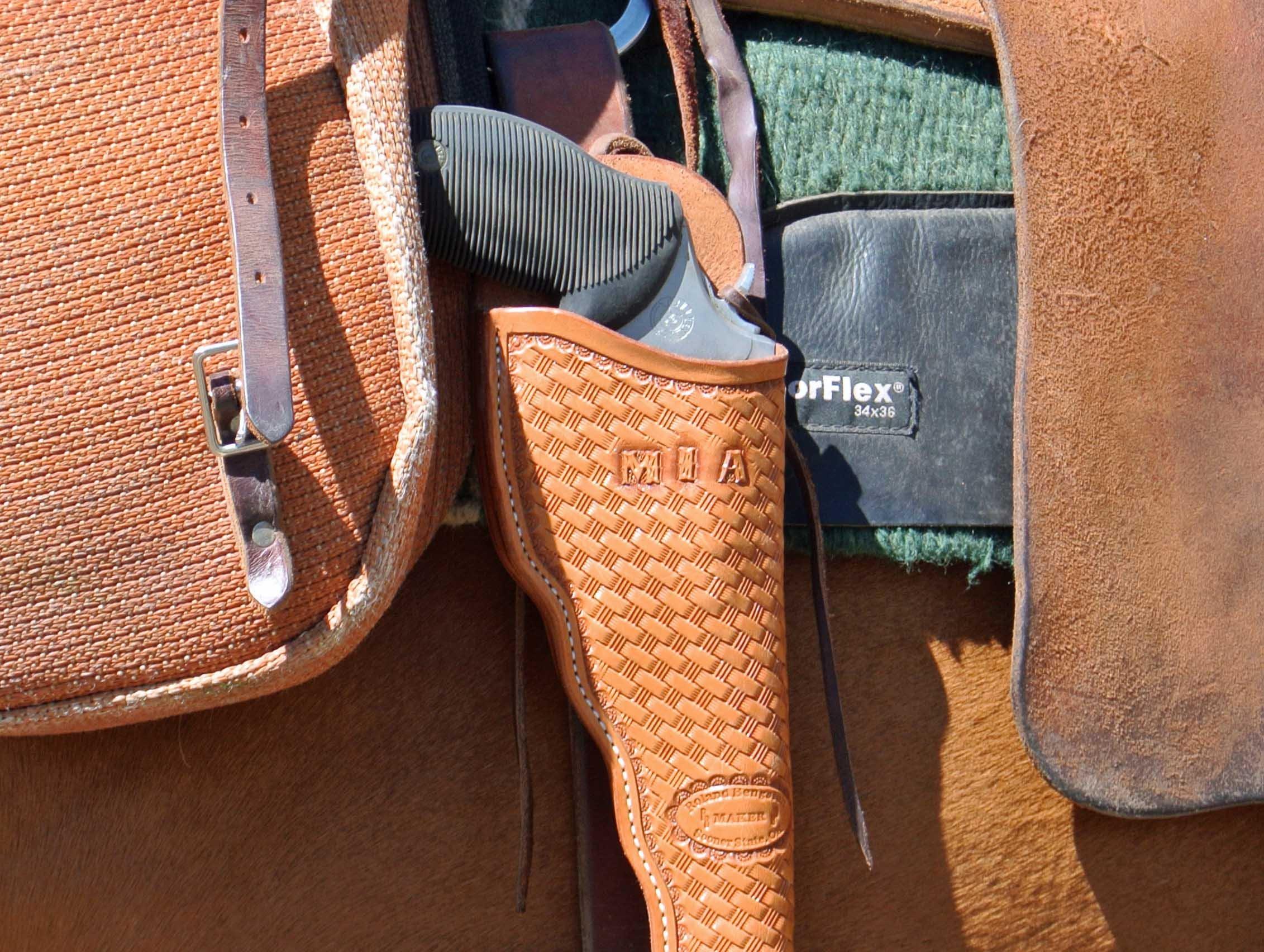 Saddle Holster