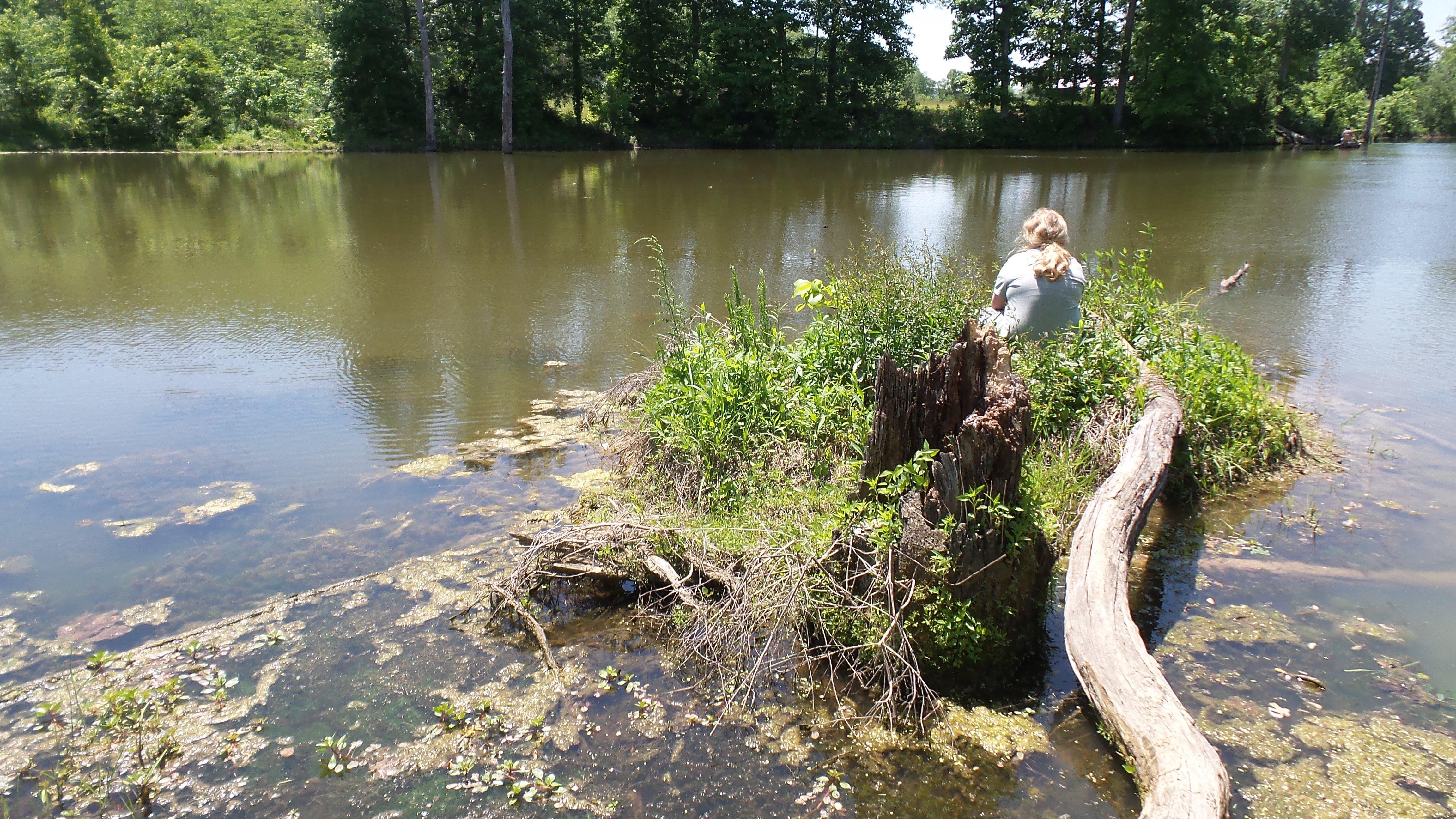Michaela insisted that crossing the log to the island would put her in the perfect spot.
