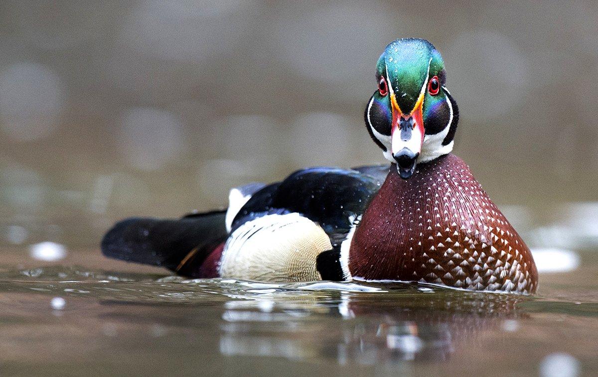 Photo © Shutterstock