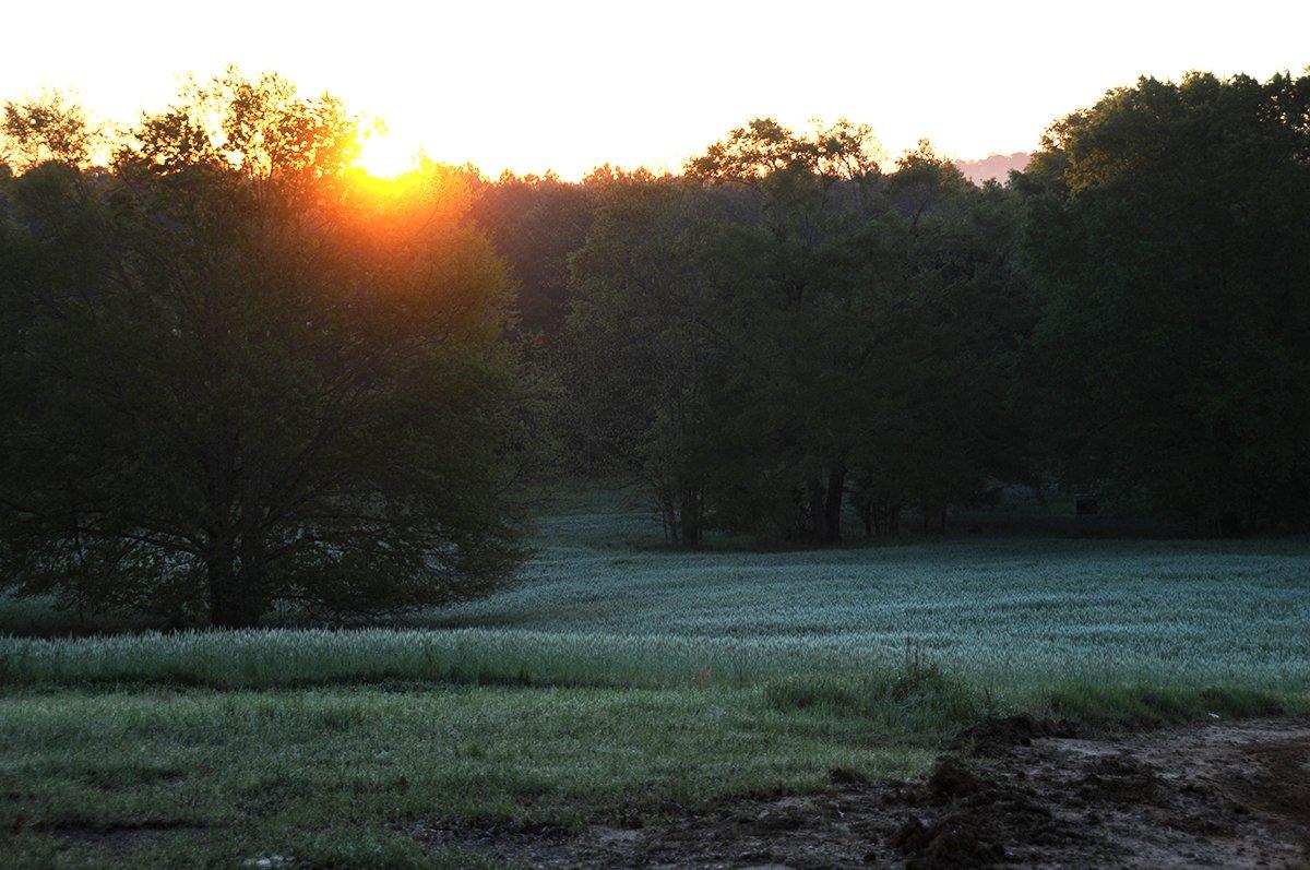 Mississippi Turkey Hunt Sunset No. 2