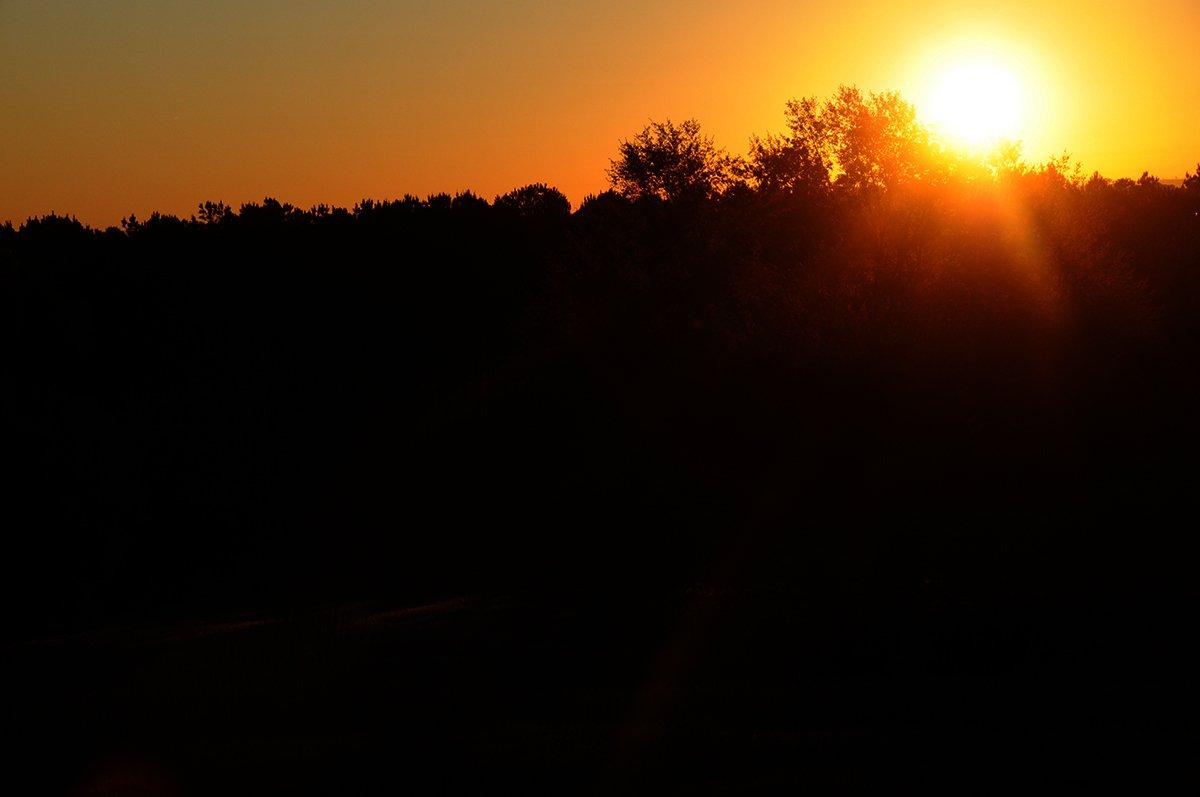 Mississippi Turkey Hunt Sunset