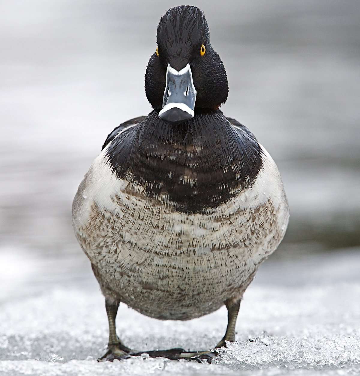 Photo © Shutterstock Photo © Shutterstock